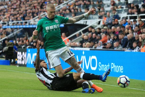 顽强斗志应 顽强斗志应